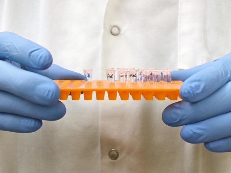 Lei foi publicada no Diário Oficial da União (DOU). - Freepik