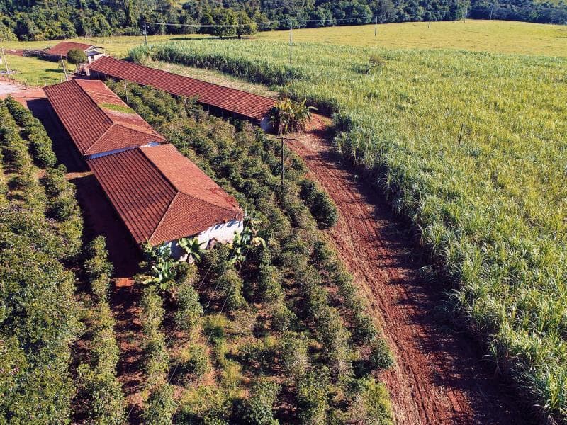 Texto prevê reclusão de até dez anos, punição a financiadores e agravantes para áreas produtivas. - Freepik