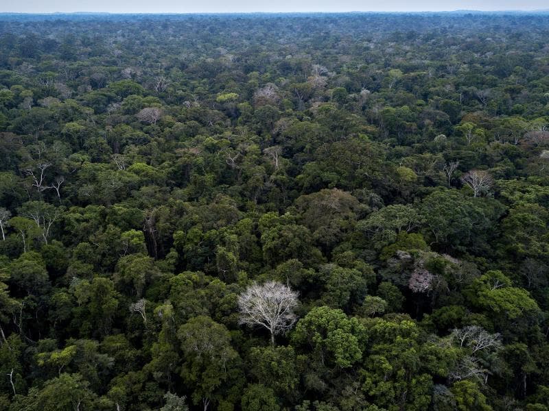 O relator, ministro Alexandre, cobrou explicações do Congresso e da Presidência da República, com prazo de 10 dias para resposta. - Lalo de Almeida/Folhapress