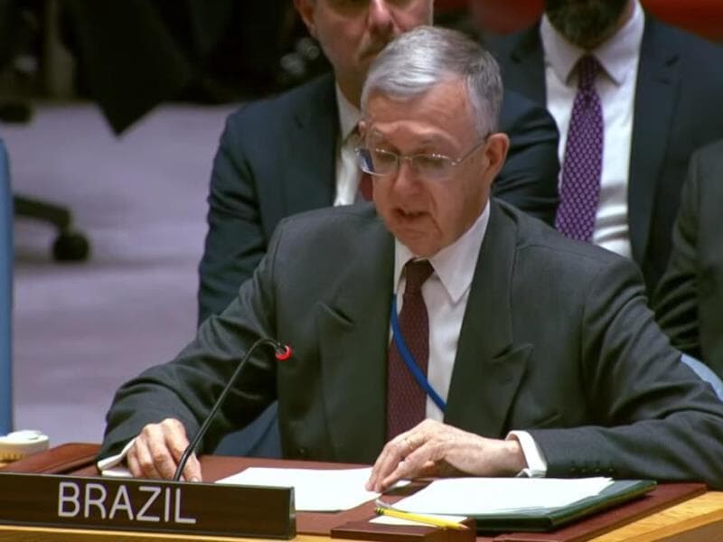 Sérgio Danese discursa na ONU.  - Reprodução/YouTube