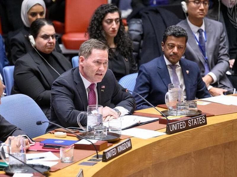 Waltz assegurou que "provas esmagadoras de seus crimes serão apresentadas". - UN Photo/Loey Felipe