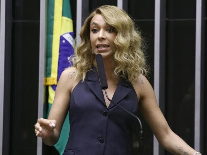Erika Hilton pede que o ministério coordene ações de fiscalização do comércio nas praias brasileiras. - Vinicius Loures/Câmara dos Deputados