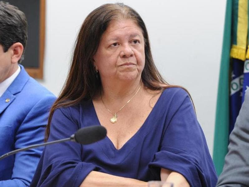 Laura Carneiro é deputada federal pelo Rio de Janeiro. - Renato Araújo/Câmara dos Deputados
