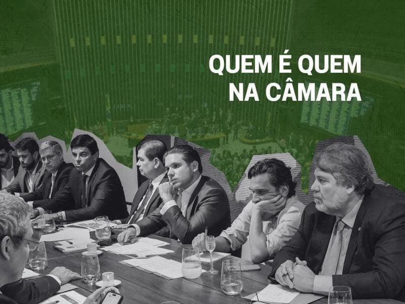 O líder atua como porta-voz do grupo nas votações, debates e negociações internas. - Arte Congresso em Foco. Foto: Marina Ramos/Camara dos Deputados