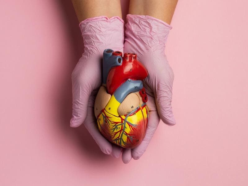 Projeto quer usar dados do Censo para ampliar transplantes. - Freepik Projeto quer usar dados do Censo para ampliar transplantes. - Freepik