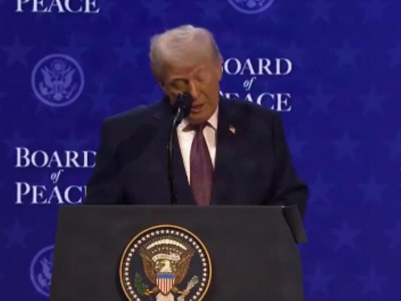 Apesar das críticas, Trump diz que o conselho deve trabalhar junto com a ONU. - Reprodução/X