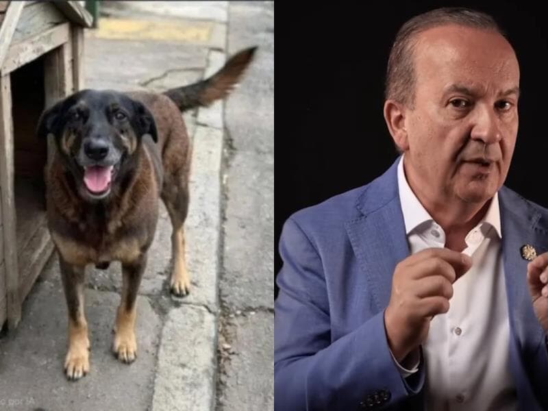 Vídeo foi publicado na segunda-feira (26). - Reprodução