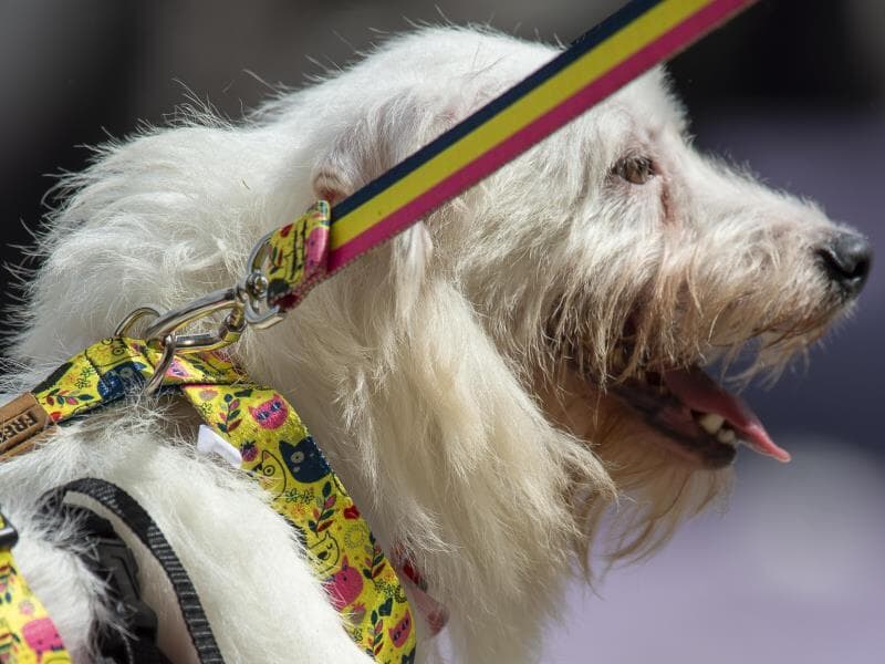 Proposta foi apresentada na Câmara em 2017. - Anderson Romao/AGIF/Folhapress