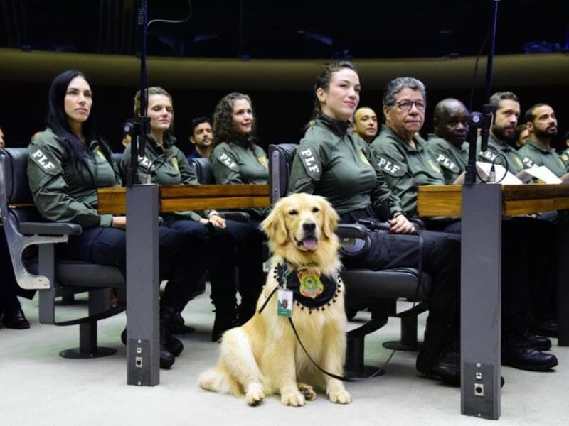 Inscrições abrem nesta quinta-feira (29). - Cleia Viana/Câmara dos Deputados