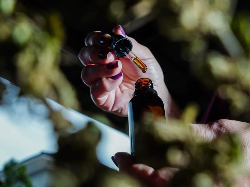 Decisão da Anvisa regulamenta cadeia produtiva da cannabis medicinal e amplia vias de uso. - Carlos Macedo/Folhapress