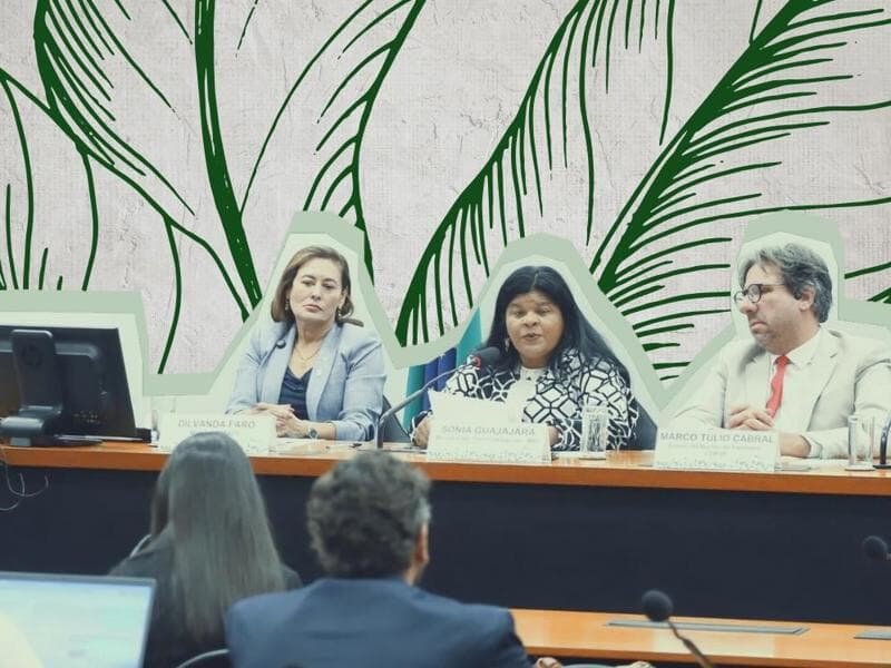 Pauta da CMA também inclui projetos de decretos legislativos, que visam sustar normas do Poder Executivo. - Vinicius Loures/Câmara dos Deputados