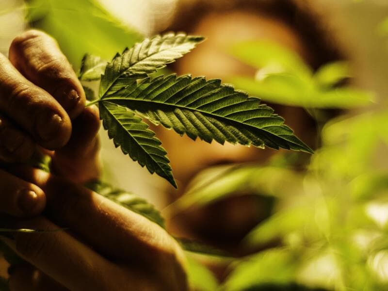 Projeto foi apresentado em maio de 2025. - Karime Xavier/Folhapress