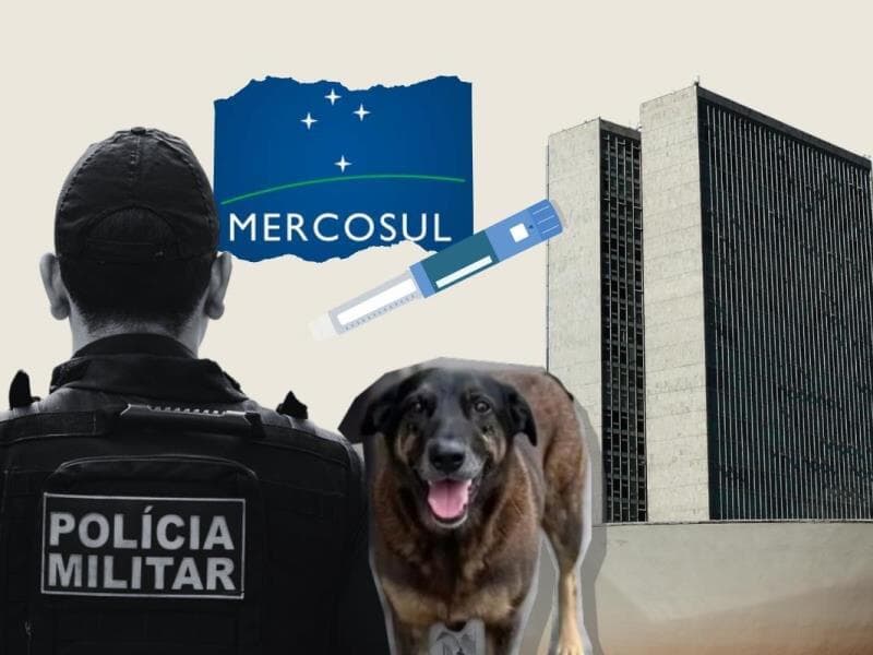 Recesso eleitoral e janela partidária apertam o calendário do Legislativo após o Carnaval de 2026. - Arte Congresso em Foco