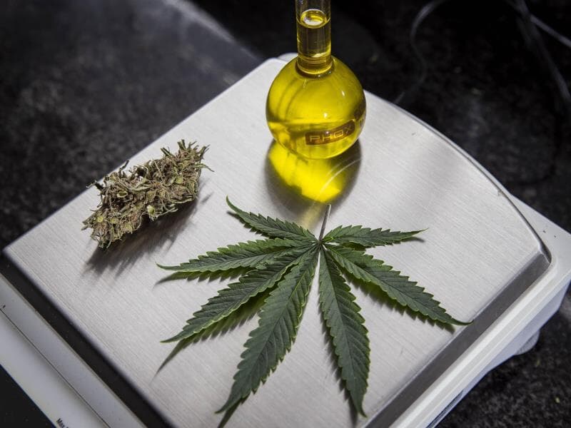 Senadores apresentaram projetos que buscam ampliar o acesso a tratamentos a base de cannabis medicinal. - Adriano Vizoni/Folhapress