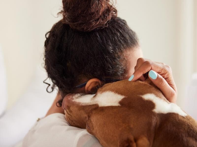 Autor da proposta defende que Brasil ainda carece de regulamentação abrangente sobre o uso terapêutico de animais. - Freepik