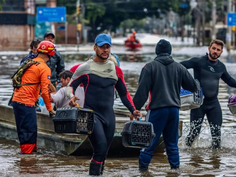 Proposta aprovada pelo Senado define regras de resgate, tratamento e responsabilização em emergências ambientais. - Rafa Neddermeyer/Agência Brasil