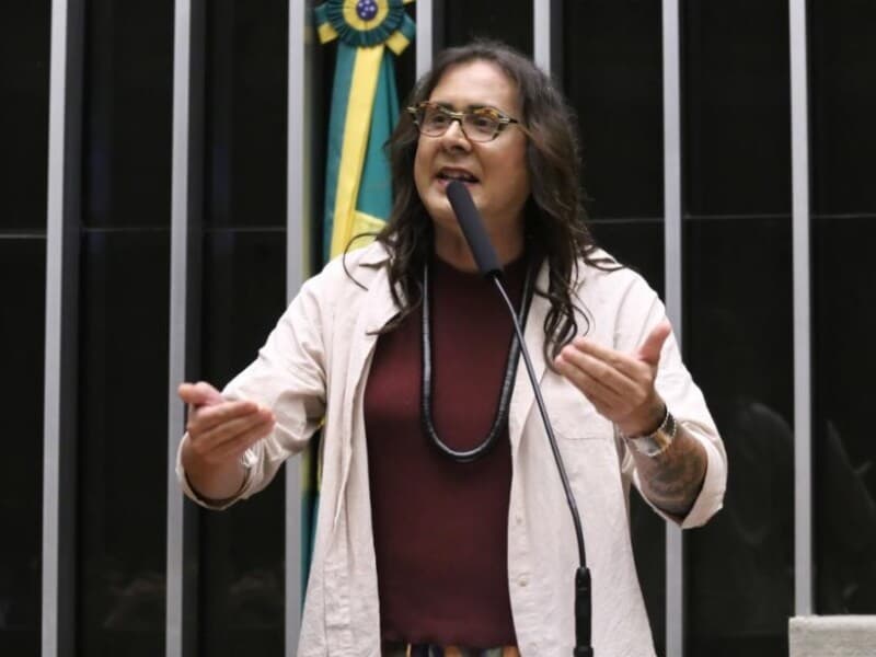 O projeto foi apresentado pela deputada Duda Salabert. - Kayo Magalhães/Câmara dos Deputados