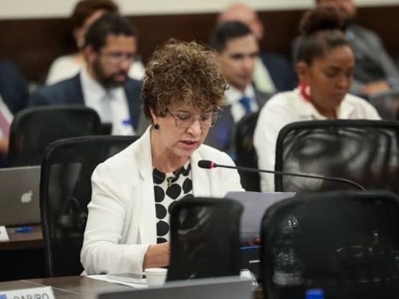 Conselheira federal Vera Lúcia Paixão, relatora da ação. - Raul Spinassé/OAB