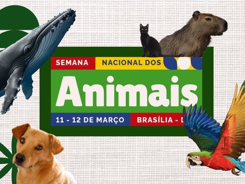 Evento debate políticas públicas e lança carta-compromisso para candidatos nas eleições de 2026. - Arte Congresso em Foco