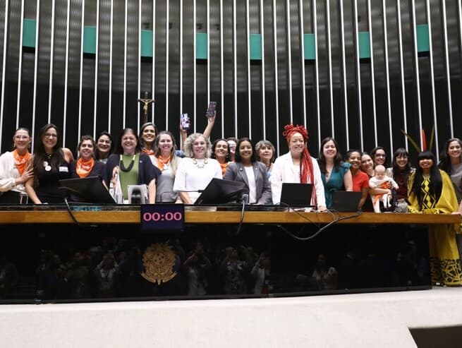 As doulas não poderão realizar procedimentos de enfermagem, administrar medicamentos ou interferir na equipe técnica. - Vinicius Loures/Câmara dos Deputados