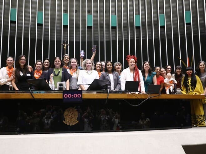 As doulas não poderão realizar procedimentos de enfermagem, administrar medicamentos ou interferir na equipe técnica. - Vinicius Loures/Câmara dos Deputados