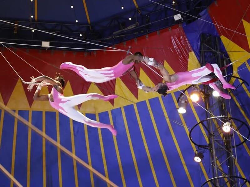 Atividade circense brasileira pode ser reconhecida por lei como expressão da identidade nacional. - Fernando Frazão/Agência Brasil
