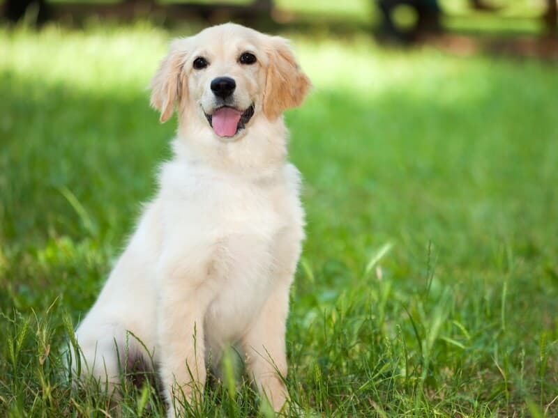 A proposta segue para o Plenário. - Freepik