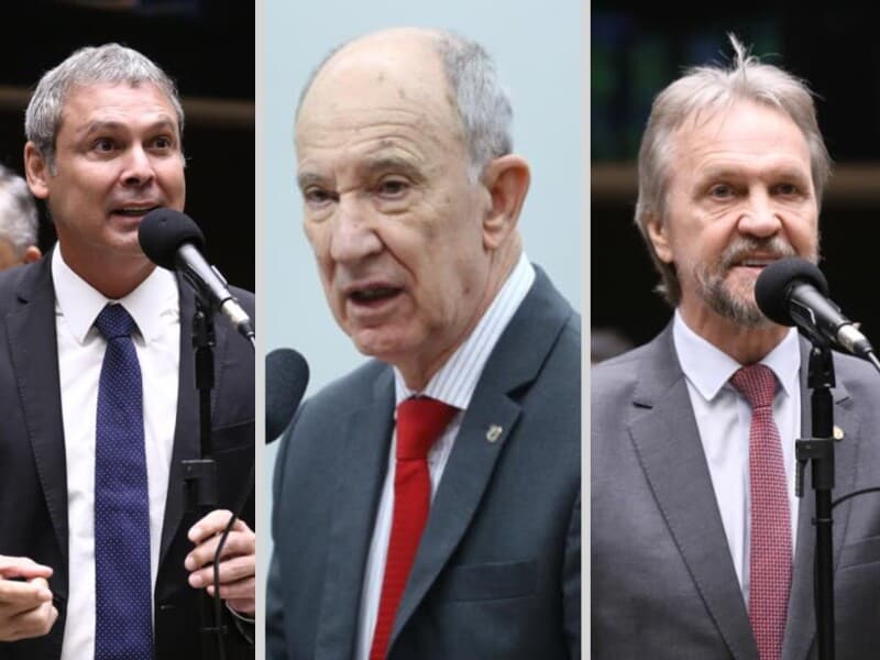 Petistas pedem domiciliar a presos maiores de 70 anos ou doentes graves. - Vinicius Loures, Kayo Magalhães e Bruno Spada/Câmara dos Deputados | Arte Congresso em Foco