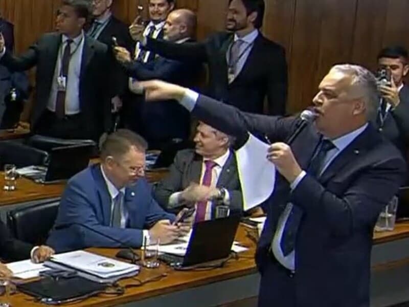 Vice-líder do governo trocou ofensas com relator, com trocas mútuas de acusações criminais. - TV Senado/Reprodução