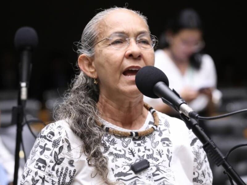 Heloísa Helena criticou a matéria, alegando se tratar de tema grave para a comunidade palestina. - Kayo Magalhães / Câmara dos Deputados