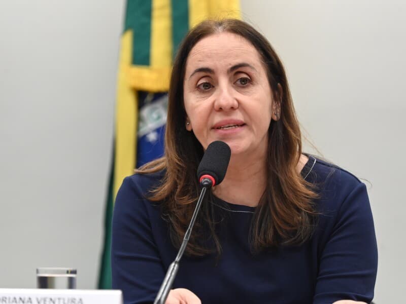 Representação foi protocolada por parlamentares do Novo. - Zeca Ribeiro/Câmara dos Deputados