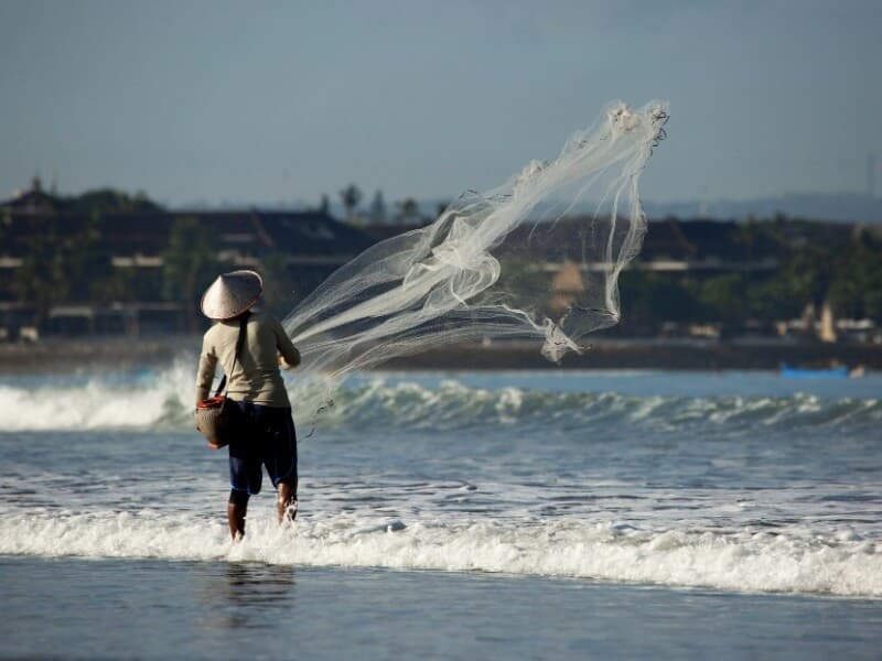 MP busca evitar novas fraudes ao seguro-defeso, com novos parâmetros de segurança e gestão. - Freepik