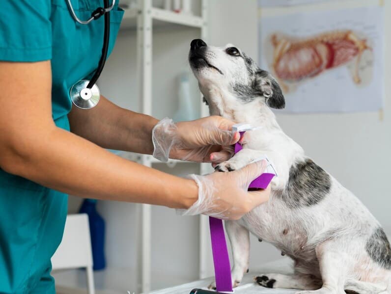 Projeto fixa remuneração mensal em R$ 7.800,00. - Freepik