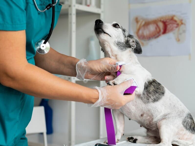 Projeto fixa remuneração mensal em R$ 7.800,00. - Freepik