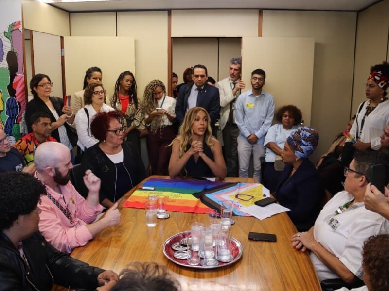 Proposta foi enviada às deputadas pelo Conselho Nacional LGBTQIA+, vinculado ao governo. - Mariane Andrade/Federação Psol Rede&nbsp;
