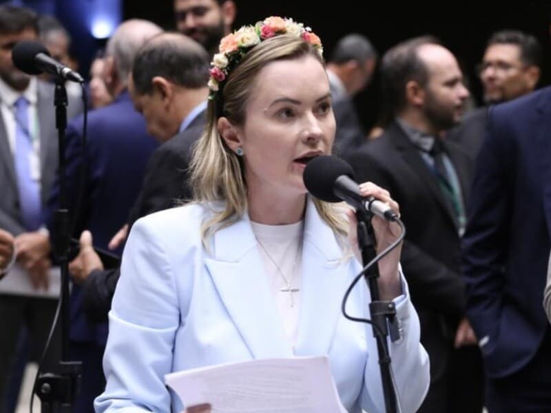 Deputada afirma que implementação imediata da redução da jornada pode prejudicar a economia.  - Kayo Magalhães / Câmara dos Deputados