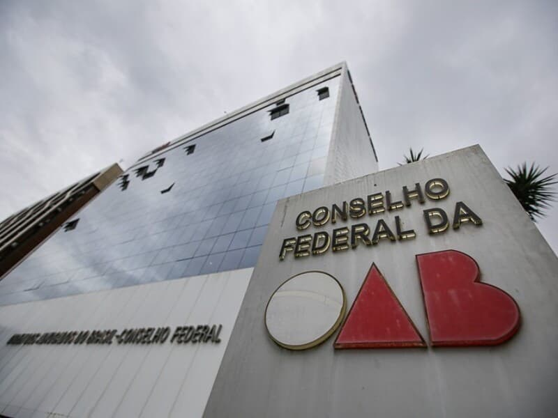 A atuação da OAB na ação foi aprovada por unanimidade pelo Conselho da entidade. - Raul Spinassé/CFOAB
