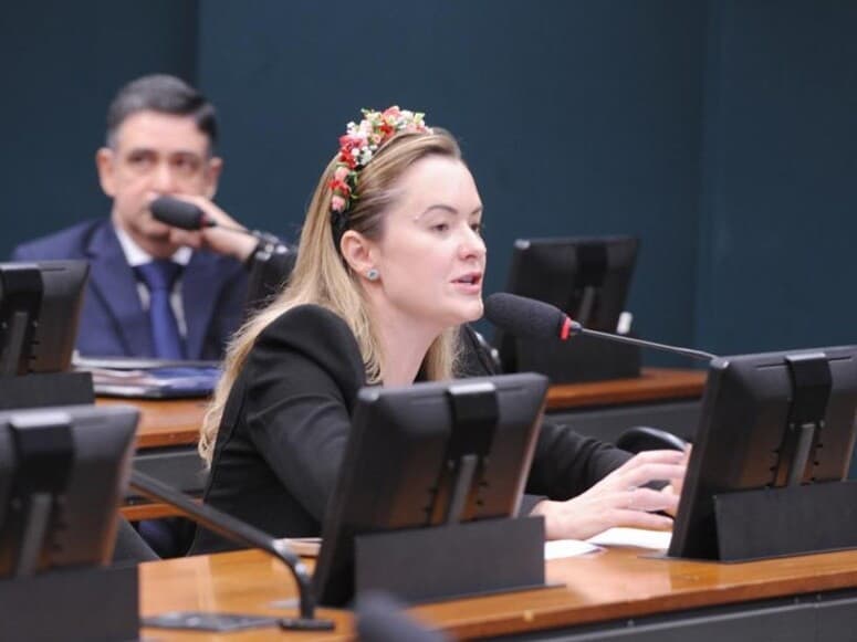 Zanatta criticou "mentiras" e reafirmou posicionamento durante comissão especial. - Renato Araújo/Câmara dos Deputados