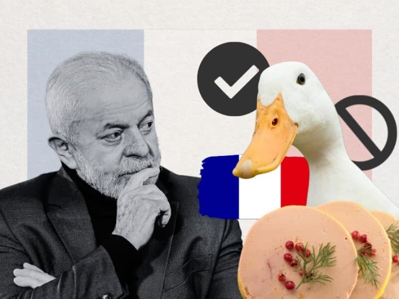 Brasil pode se tornar o primeiro país na América do Sul a proibir a importação do foie gras. - Ricardo Stuckert/PR | Arte Congresso em Foco