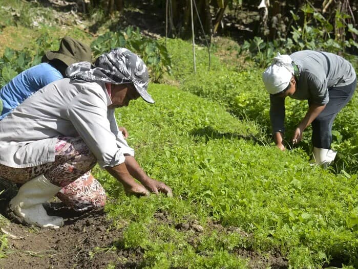 Texto aprovado busca fortalecer a liderança feminina e garantir mais oportunidades para mulheres no setor agropecuário. - Tomaz Silva / Agência Brasil