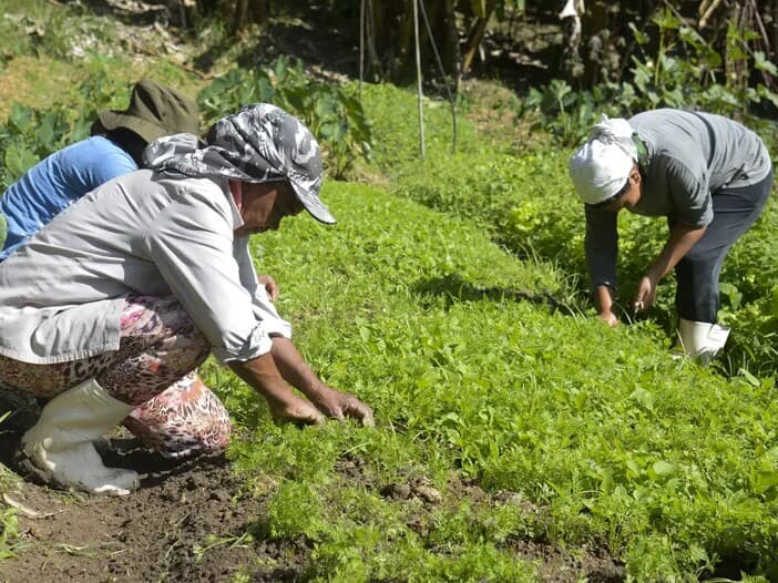 Texto aprovado busca fortalecer a liderança feminina e garantir mais oportunidades para mulheres no setor agropecuário. - Tomaz Silva / Agência Brasil