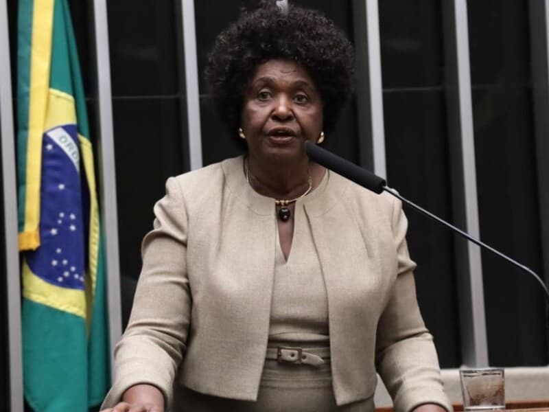 Deputada quer blindar Pix de "pressões externas". - Thiago Cristino/Câmara dos Deputados