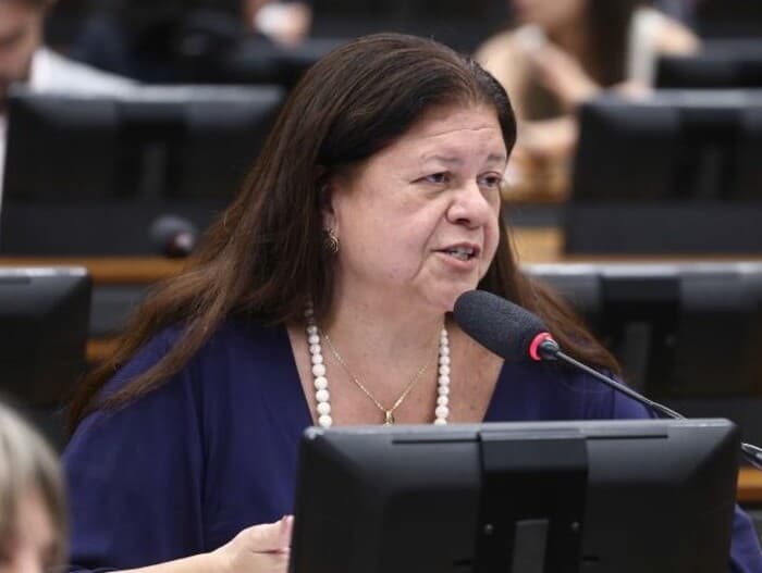 Relatora da matéria, Laura Carneiro afirmou que a proposta reforça a proteção ao patrimônio familiar. - Vinicius Loures / Câmara dos Deputados