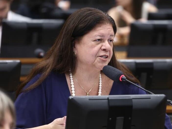 Relatora da matéria, Laura Carneiro afirmou que a proposta reforça a proteção ao patrimônio familiar. - Vinicius Loures / Câmara dos Deputados