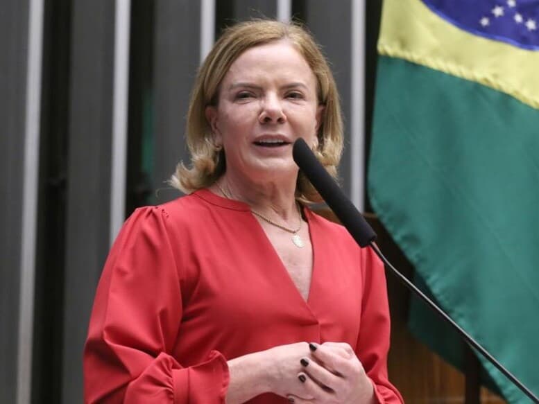 Deputada defendeu o avanço das investigações e disse que eventual responsabilização deve ocorrer sem prejulgamentos. - Kayo Magalhães / Câmara dos Deputados