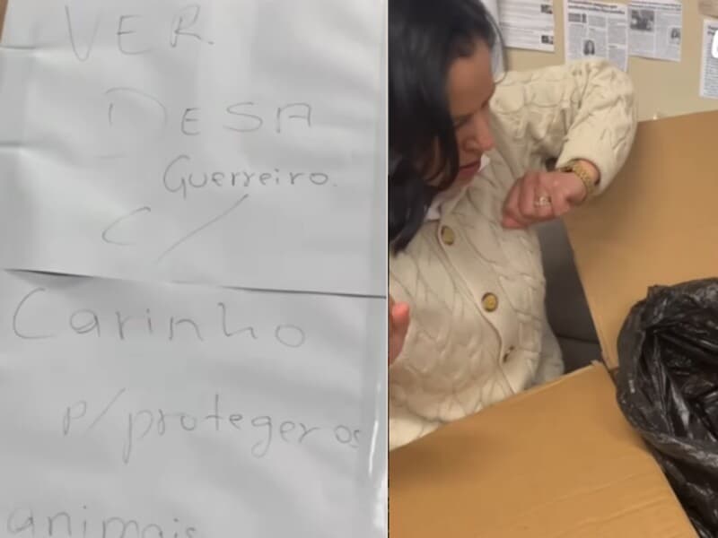 Vereadora recebe encomenda com animal morto em gabinete: "terrorismo". - Reprodução/Instagram