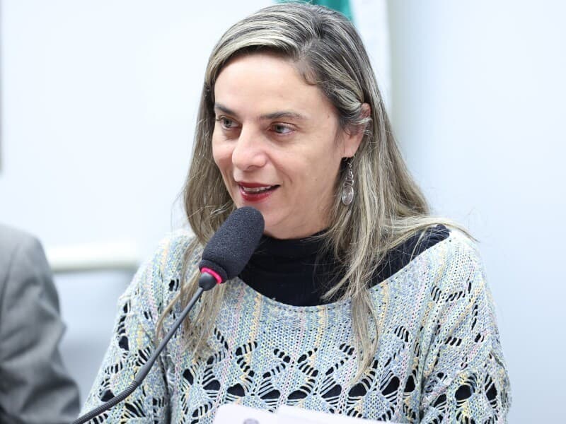 Parecer aprovado é da deputada Fernanda Melchionna. - Kayo Magalhães/Câmara dos Deputados