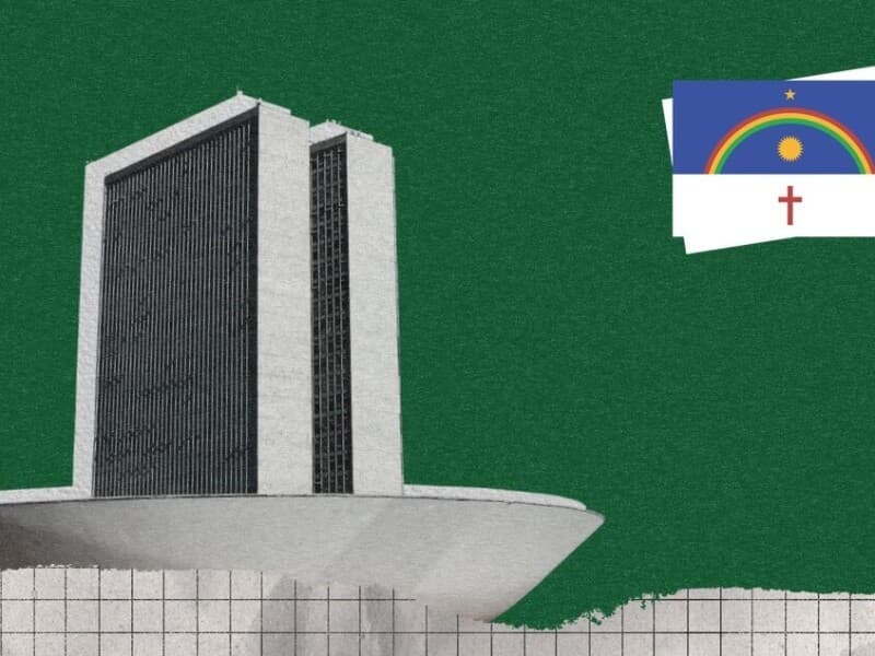 18 deputados da bancada pernambucana buscam novos mandatos.  - Arte Congresso em Foco