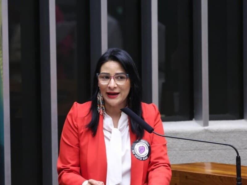 Texto também garante estabilidade no emprego e amplia o atendimento psicológico às famílias enlutadas. - Bruno Spada / Câmara dos Deputados