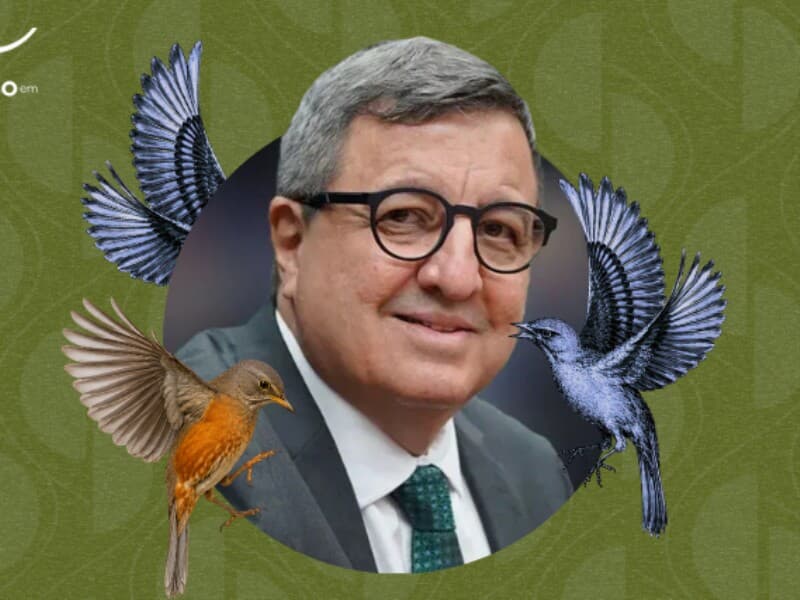 Premiado por avaliação do júri técnico. - Arte Congresso em Foco